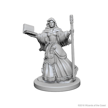 Dungeons & Dragons: Nolzur's Marvelous Unpainted Miniatures - W01 Human Female Wizard