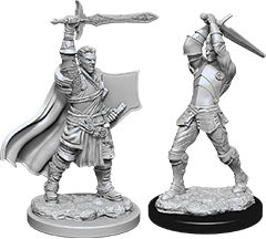 Dungeons & Dragons: Nolzur's Marvelous Unpainted Miniatures - W12 Male Human Paladin