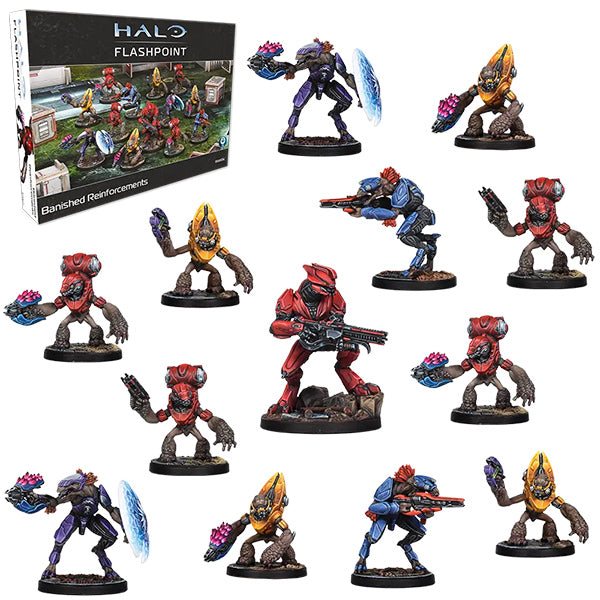 HALO: Flashpoint- Banished Reinforcements