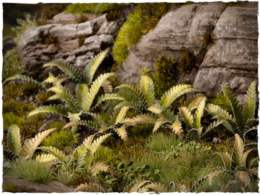 Laser Plants - Deer Fern