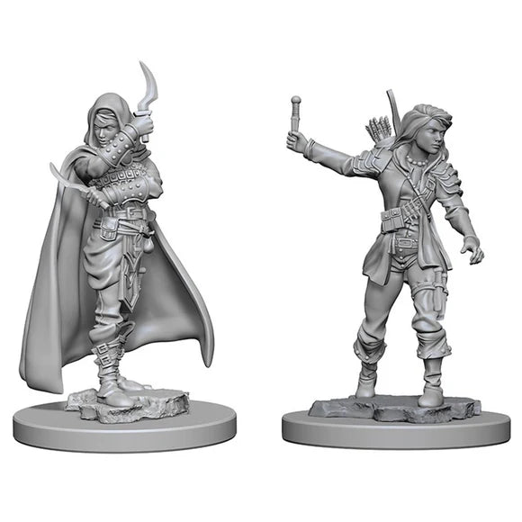 Pathfinder Deep Cuts Unpainted Miniatures: W01 Human Female Rogue