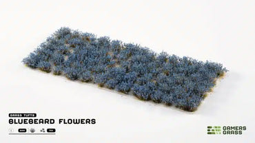 Bluebeard Flowers