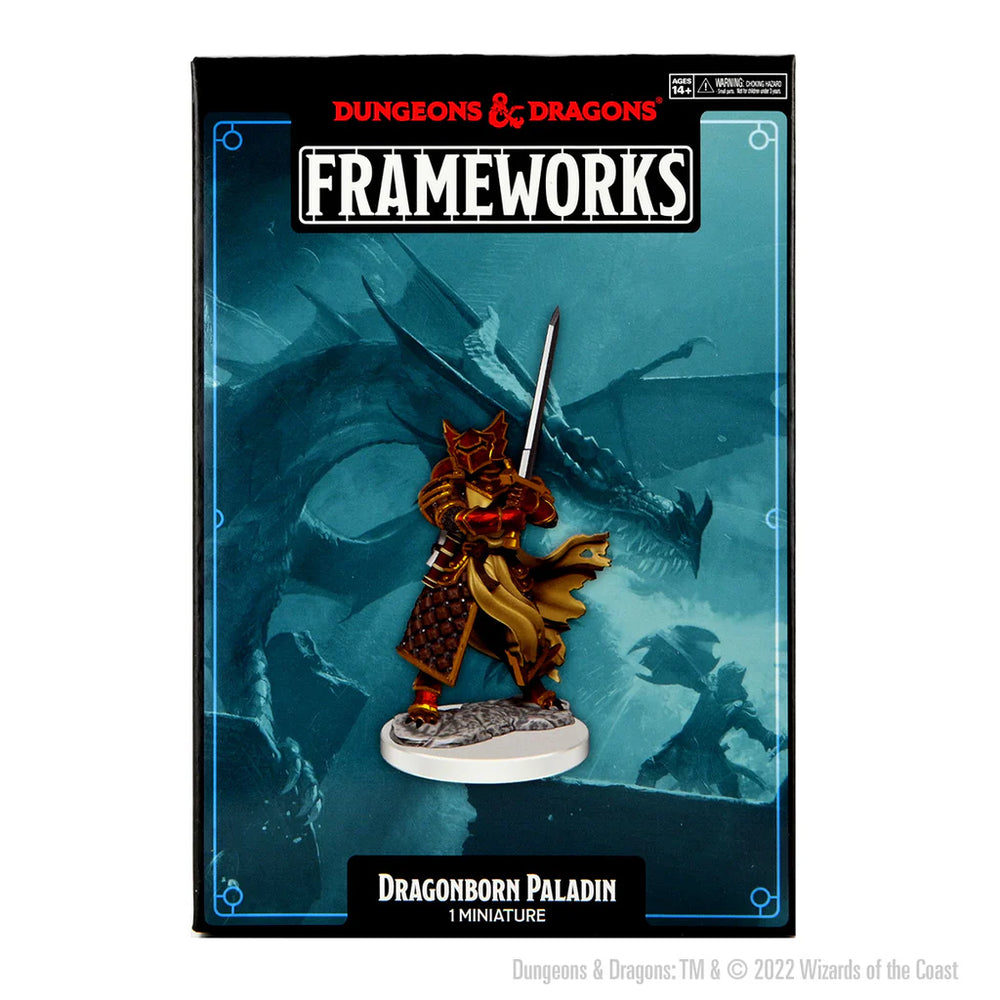Dungeons & Dragons Frameworks: W01 Dragonborn Paladin Male