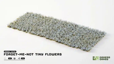Forget-Me-Not Tiny Flowers