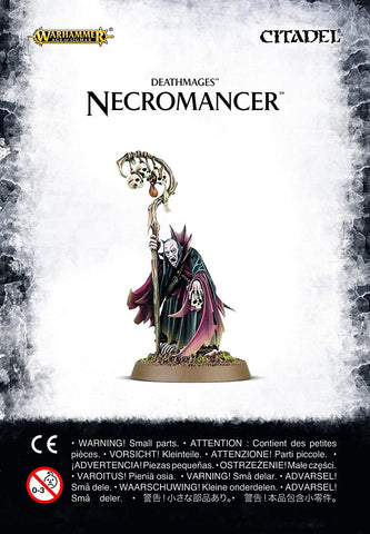Soulblight Gravelords: Necromancer
